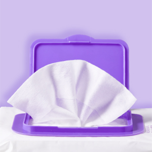 ODM Cat Wet Wipe Stocked Feature Product - Product Image 5