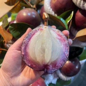 Pomme étoile du Vietnam fraîche, fruit tropical sucré de haute qualité, fournisseur fiable pour les clients du monde entier - Product Image 1