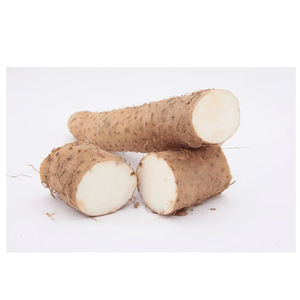 Ñames frescos orgánicos de alta calidad, limpios, listos para la exportación, fibra rica en vitaminas, embalaje a granel disponible, agricultura, Grado Superior 10 - Product Image 1