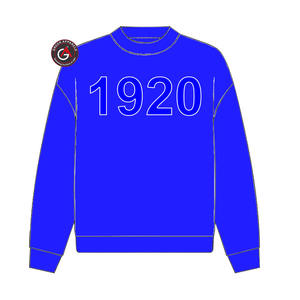 Sudadera con capucha de parafernalia bordada de hermandad de mujeres Zeta Phi Beta griega personalizada - Product Image 4