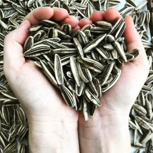 สหรัฐอเมริกาสีดำสีขาวดิบ5009 361เมล็ดทานตะวันราคา - Product Image 6