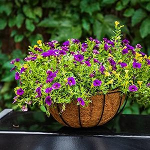 Jardinière coco coco panier pour plantes cercle naturel fibre de coco doublure pas cher prix fabriqué au Vietnam - Product Image 4