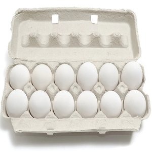 Huevos de Gallina Frescos de Granja Orgánicos, Huevos Fértiles para Incubar con Cáscara Blanca - Product Image 2