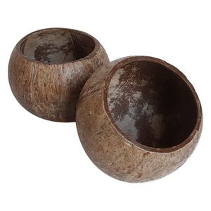 Natural Coconut Fiber <b>Cup</b> Reusable <b>Tea</b> <b>Cups</b> & <b>Saucers</b> for Home & Hotel Use - Product Image 3