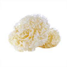 เชื้อราในหูระบบคลาวด์,อาหารเสริมเชื้อราหิมะ Akina - Product Image 4