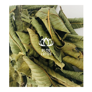 Les feuilles de goyave séchées peuvent être ajoutées dans les mélanges de smoothie et les boissons pour un arôme distinct et un équilibre de saveur exotique. - Product Image 1