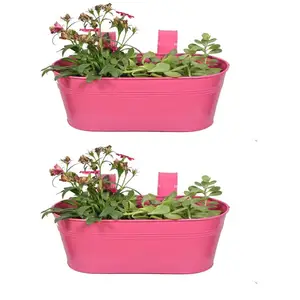 Wholesale Factory Supplies of Garden Used Galvanized Metal Antique Planter Pot for Export