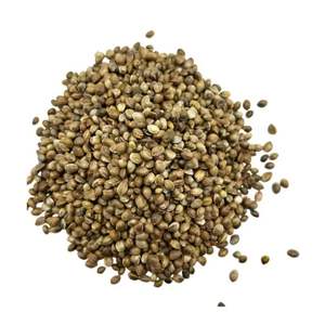 Semillas de cáñamo de grado premium de doble lengua para extracción de aceite y exportador de superalimentos a granel de La India con 12 meses de vida útil - Product Image 2