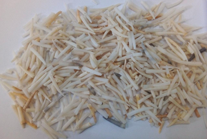 Coquilles de mer en dentalium naturel à bords lisses et rigides disponibles en tailles à partir de 1 pouce idéal pour les créateurs de bijoux natifs - Product Image 2