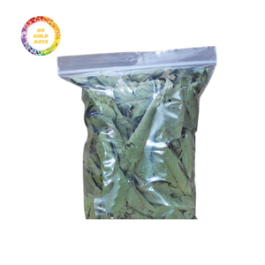 Feuilles de goyave séchées en gros-Prix bas, traitement propre, prêt pour l'utilisation de thé ou d'extrait - Product Image 6