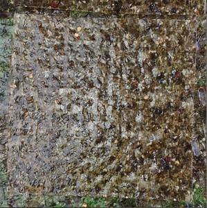 Papel de arroz con musgo marino a la parrilla, aperitivos, papel de arroz con algas tostadas, bolsa OEM, embalaje personalizado - Product Image 2