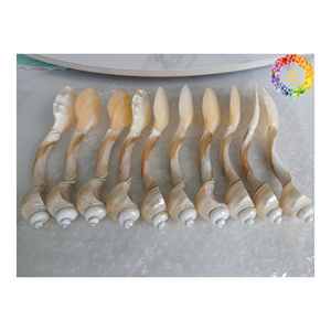 ช้อนสีชมพูสำหรับรับประทานอาหารชั้นดีช้อนเสิร์ฟคาเวียร์มุกเป็นมิตรกับสิ่งแวดล้อม - Product Image 5