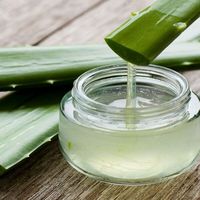 Gel d'aloe vera biologique naturel de haute qualité pour le visage et le corps, hydratant, apaisant, réparateur de la peau, anti-brûlures solaires, relaxant, pour tous types de peau