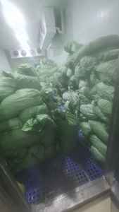 Iqf ขนุนสีเหลืองแช่แข็งจากเวียดนาม - Product Image 2