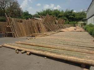 Varas de Bambú Largas de 6m, 10m y 12m para Construcción, Tratamiento Personalizado Antitermitas de Fábrica - Product Image 4