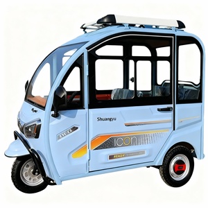 Tricycle électrique Falcon à carrosserie fermée, 3 places, petit véhicule familial pour femmes et enfants, scooter <span class=keywords><strong>de</strong></span> mobilité pour <span class=keywords><strong>personnes</strong></span> âgées - Product Image 4