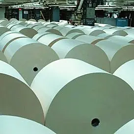 Double Sided Newsprint Paper <b>Rolls</b> with <b>PVC</b> Coating Available for Sale - Product Image 3