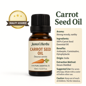 Fournisseur en gros de bonne qualité Huile de base biologique 100% Extrait d'herbes Huile essentielle de graines de carotte pour stimuler la santé de la peau et des cheveux - Product Image 1