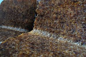 Phuc Thinh, exportador líder de materias primas de caucho de grado moldeado SVR 20, estándar de Vietnam - Product Image 4