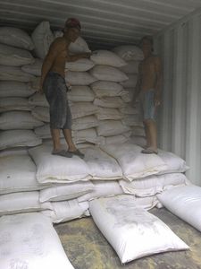 Poudre de coquille de noix de coco du Vietnam de qualité supérieure-Approvisionnement en vrac pour les applications agricoles et industrielles - Product Image 5