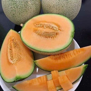 Experimente la máxima frescura: Melón congelado IQF: Listo para pedidos globales a granel. - Product Image 5