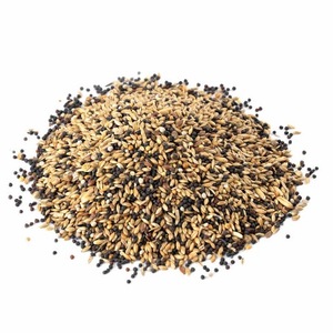 Al precio más barato al por mayor Mezcla de semillas de pájaros Canary Seed Animal Bird Seed Mix Food Cantidad a granel - Product Image 3