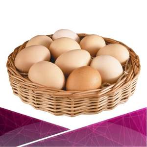 Œufs de poule de haute qualité, frais et naturels, prix de gros, produits animaux, œufs - Product Image 1