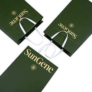 Sac cadeau en papier kraft écologique de haute qualité avec poignée et design luxueux pour l'image de marque des événements d'entreprise - Product Image 3