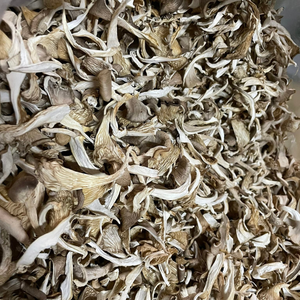 SETA DE OSTRA SECA A BASE DE PLANTAS ORGÁNICAS | ETIQUETA LIMPIA | FUENTE NUTRICIÓN FUNCIONAL - Product Image 5