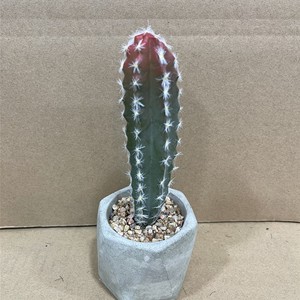 Plantas de interior Plantas suculentas artificiales Plantas Cactus Suculentas al por mayor - Product Image 3