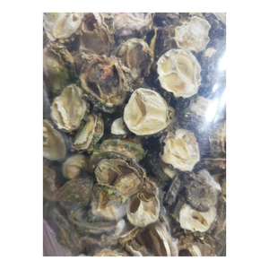 Rebanadas de calabaza amarga deshidratada para productos de té de hierbas mejoras culinarias y Proveedores de ingredientes de bebidas holísticas - Product Image 1