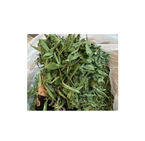 Suministro de hojas de stevia de alta calidad para té/polvo/materias primas a granel desde Vietnam desde 99 Gold Data - Product Image 1