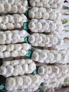 GRAN OFERTA Mejor Precio Ajo Blanco Orgánico Fresco de Alta Calidad Grado A 25 kg de Alemania con 12 Meses de Duración de Caducidad Envasado al Vacío - Product Image 2