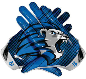 Cómodos Guantes De Futbol Americano Feed Me Personalizados Guantes Deportivos De Fútbol Americano - Product Image 1