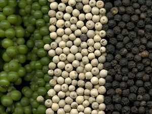 Pimienta negra de Vietnam 500g/L, 550g/L/Fabricante y exportador de especias de alta calidad - Product Image 3