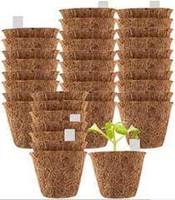 Pots de CocoCoir compressés de qualité Alternative saine naturelle pour la croissance des plantes Pots de fleurs en cosse de noix de coco verte pour votre jardin