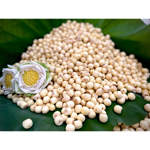 PREMIUM VIETNAMESE DRIED LOTUS <b>SEEDS</b> <b>FOR</b> EXPORT - BEST PRICE GUARANTEE - Product Image 1