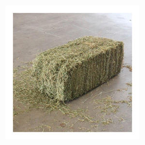 Heno Alfafa para Alimentación Animal/bolitas de heno de alfalfa/heno Timothy en Fardos - Product Image 3