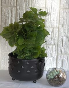 Jardinière en métal durable galvanisé, idéale pour l'aménagement paysager extérieur, offrant une couche de protection galvanisée de qualité supérieure. - Product Image 4