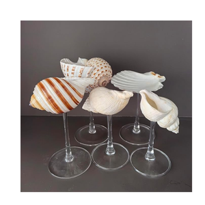 แก้วไวน์เปลือกหอยเทอร์โบทำด้วยมือถ้วยไวน์ที่ไม่ซ้ำกันของ Burgess สำหรับกิจกรรมริมชายหาดและภาชนะใส่เครื่องดื่มส่งออก - Product Image 4