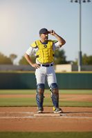 Protège-poitrine de baseball Fastpitch personnalisé 2025 de qualité supérieure en PU/PVC, personnalisable, souple et respirant