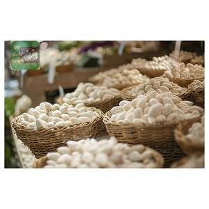 Capullos de Seda de Gusano de Seda Cortados al por Mayor para Exfoliación Facial, Producto para el Cuidado de la Piel 100% Natural de Seda de Morera - Product Image 6