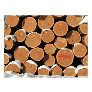 Bûches en bois de cerisier de qualité supérieure pour fumer les viandes et le barbecue - Product Image 4