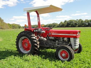 Tracteurs Massey Ferguson 175 d'occasion de qualité supérieure, 2 roues motrices, moteur 24 CV, à vendre, livraison rapide, garantie de 2 ans, pour booster l'agriculture - Product Image 6