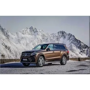 Impression sur toile de Fida Brown sur un Mercedes GLS devant des pics enneigés - Product Image 6