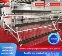 Nouveau système de cages à poules pondeuses à quatre niveaux et quatre portes en acier galvanisé pour poulets, avec conception à plusieurs niveaux en escalier, pour usage agricole