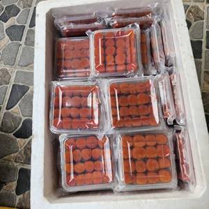 ลูกพลับแห้งคุณภาพพรีเมียมจากเวียดนาม ราคาถูก รสหวานธรรมชาติ มาตรฐานส่งออก - Product Image 4