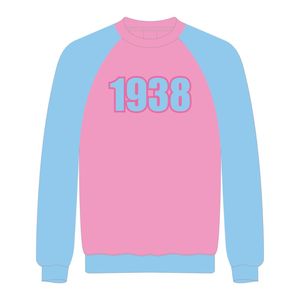 1938แจ็คและจิลล์ของอเมริกาเสื้อสเวตเชิ้ตแขนแร็กแลนสีชมพูปักลายกำมะหยี่สีฟ้าองค์กรวิชาชีพพลเมืองสีดำ - Product Image 2