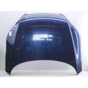 CAPOT MOTEUR AVANT AUDI TT Cabrio Série (8J3) 8J0823029E (06>14) - Product Image 1