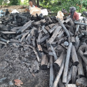 Kachi Shell Wood <b>Charcoal</b> Energy Active Mangrove <b>Charcoal</b> for grilling purposes and low smoke content - Product Image 1